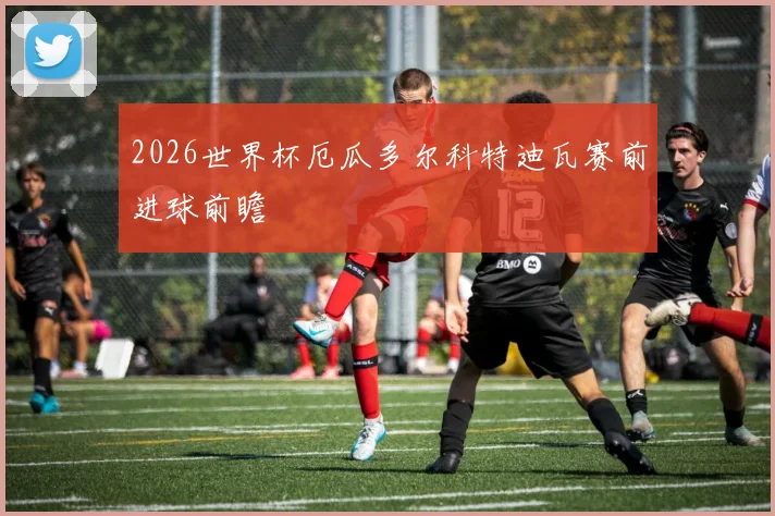 2026世界杯厄瓜多尔科特迪瓦赛前进球前瞻
