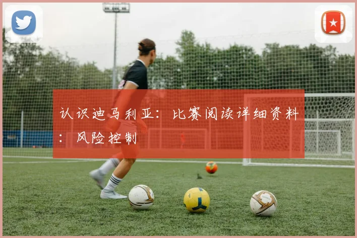 认识迪马利亚:比赛阅读详细资料:风险控制