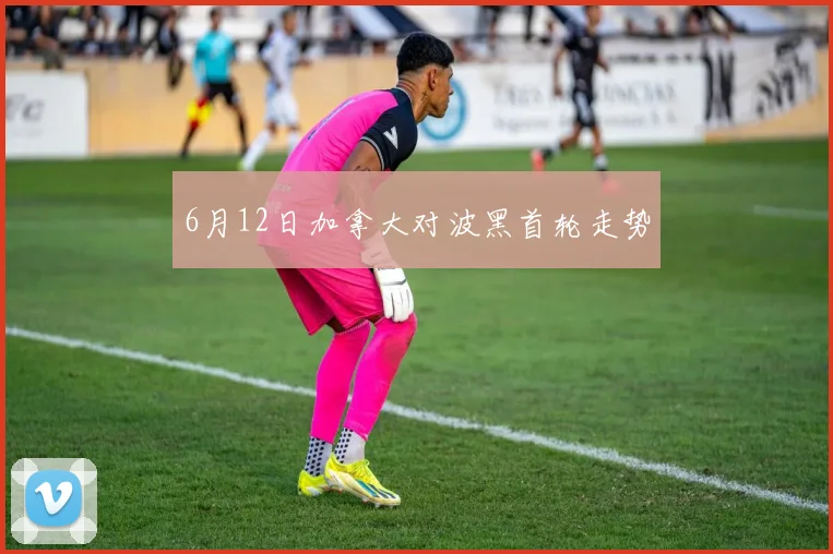 6月12日加拿大对波黑首轮走势