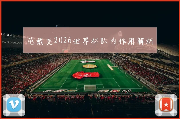 范戴克2026世界杯队内作用解析