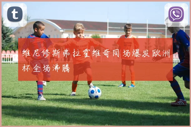 维尼修斯弗拉霍维奇同场爆发欧洲杯全场沸腾