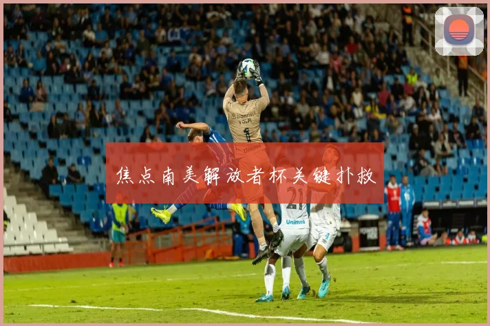 焦点南美解放者杯关键扑救